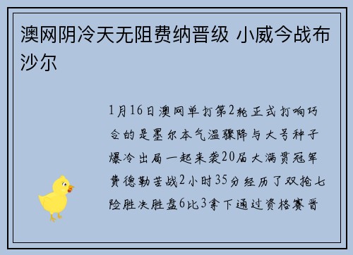 澳网阴冷天无阻费纳晋级 小威今战布沙尔